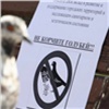 Красноярцам напомнили о штрафах за кормление голубей под окнами жилых домов