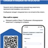 Сообщить о безнадзорных животных теперь можно на портале госуслуг