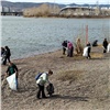 В Красноярске стартовал двухмесячник по благоустройству и озеленению
