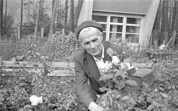 «Грядки с электроподогревом»: история уникального розария в Дивногорске