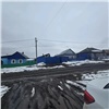 В Ужуре завели дело после нападения агрессивного алабая на женщину