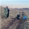 Семья погибшего от собак мальчика в Красноярском крае получит компенсацию в 3 раза меньше запрошенной
