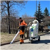 На красноярские улицы вывели ручные пылесосы и начали мыть памятники