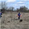 Собака три дня просидела на изолированном острове в Красноярском крае