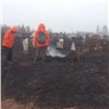 В Красноярском крае двое мужчин устроили пожар при подготовке места захоронения
