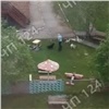 Стая собак напала на сторожа рядом с детским садом в Назарове (видео)