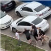 Мужчины подрались из-за автоледи в Красноярске (видео)
