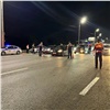 Полиция назвала количество пойманных за уик-энд пьяных водителей в Красноярском крае 
