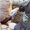 Из Красноярского края вывезли более 2,6 млн кубометров леса