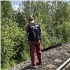 В Ачинске обнаружено тело пропавшей вместе с мамой 5-летней девочки