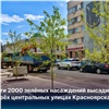 На трех центральных улицах Красноярска высадят почти две тысячи деревьев и кустарников 