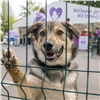 В Москве пройдет фестиваль «Моспитомец» с выставкой животных из городских приютов