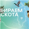 Красноярцев приглашают выбрать маскота городского аэропорта