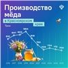 Красноярцы за год съедают почти килограмм меда