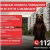 В Красноярске ввели режим повышенной готовности из-за медведей