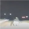 Под Красноярском автомобилист сбил насмерть стоявшую на трассе женщину (видео)