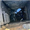 Спасатели вытащили из колодца двух собак в Красноярском крае