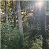 Медведь убил мужчину в Енисейском округе Красноярского края