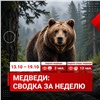 В Красноярске сокращается число сообщений о медведях