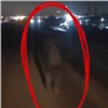 Пешехода сбили насмерть на тёмной дороге под Красноярском (видео)