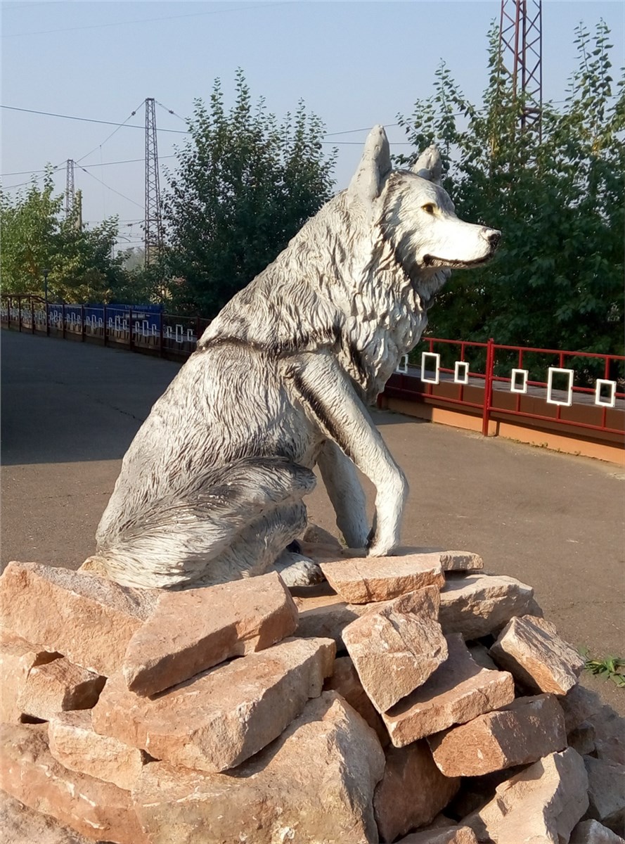 Статуя волка. Памятник волку в Красноярске. Сибирский волк на станции Базаиха. Скульптура волк Красноярск. Статуя волка в Красноярске.