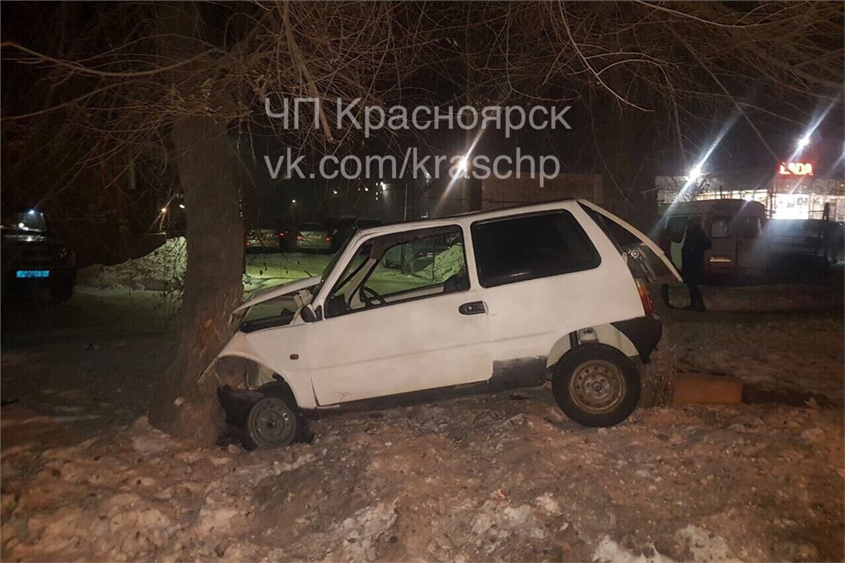 «Ока» повисла на деревьях после ДТП в Красноярске / Происшествия  Красноярска и Красноярского края / Newslab.Ru