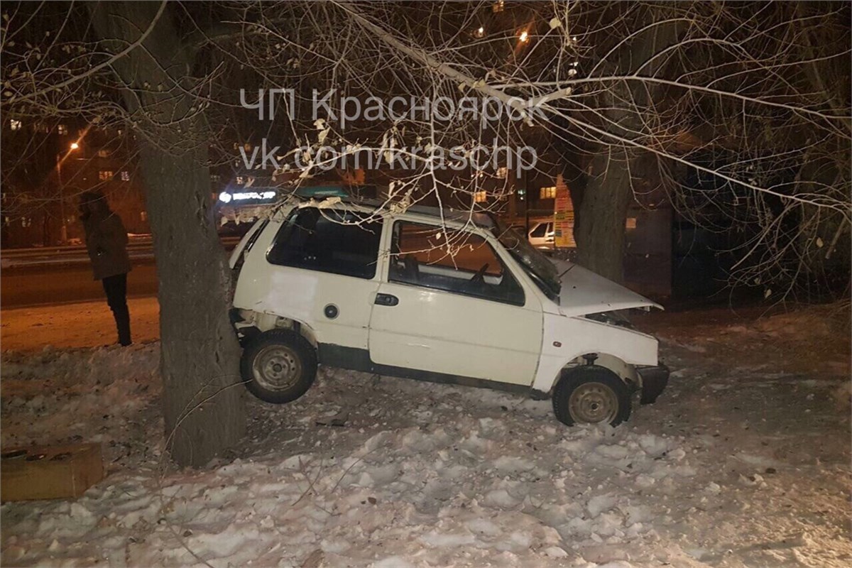 Ока» повисла на деревьях после ДТП в Красноярске / Происшествия Красноярска  и Красноярского края / Newslab.Ru