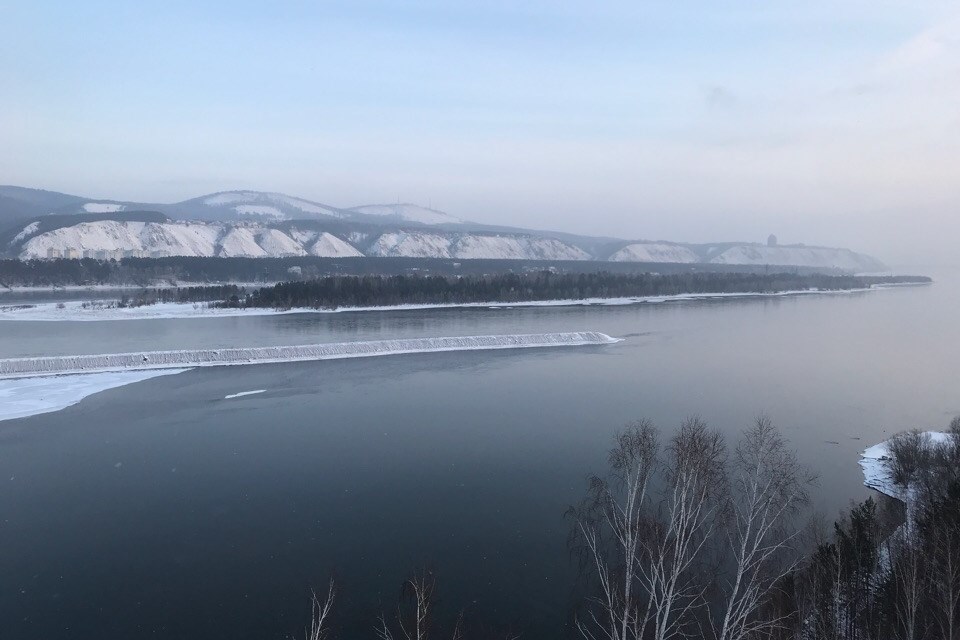 Шалунин бык красноярск фото