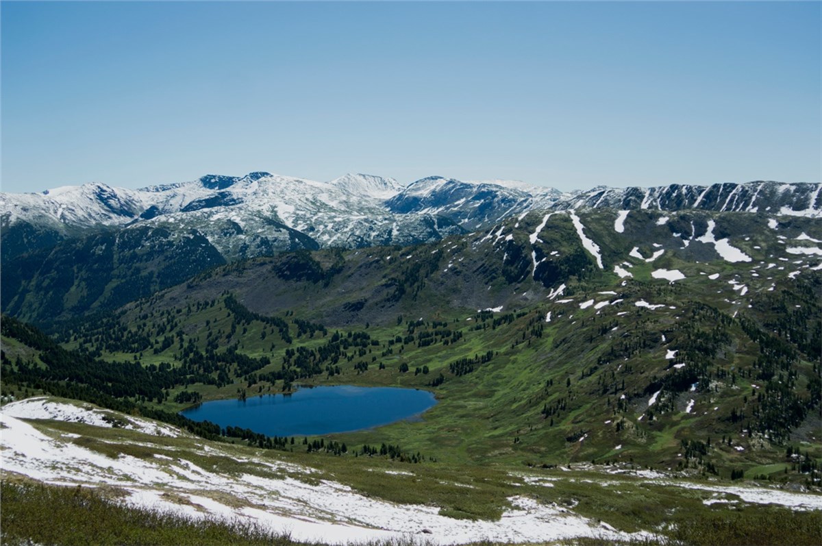 Мак хакасский фото