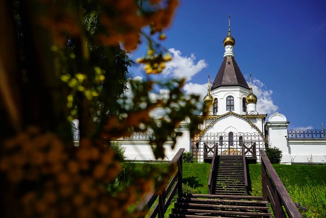 Первоцвет юлии фото и описание