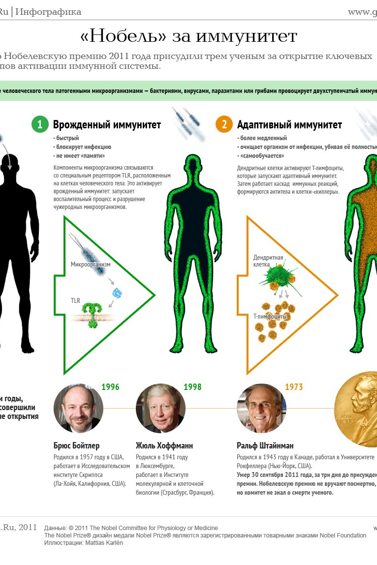 Медицинская география проект