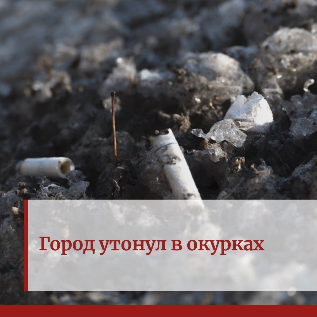 Посмотрите и ужаснитесь»: мэрия показала «утонувший» в окурках Красноярск /  Новости общества Красноярска и Красноярского края / Newslab.Ru