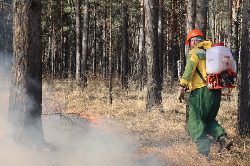 Лесные пожары красноярск. Пожар в лесу. Лесной пожар фото. Борьба с лесными пожарами.
