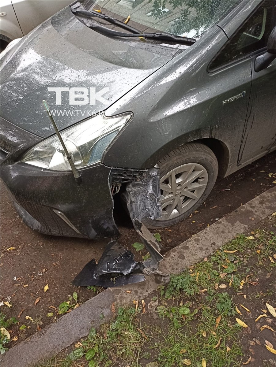 Стая собак погрызла несколько машин на правобережье Красноярска (видео) /  Происшествия Красноярска и Красноярского края / Newslab.Ru