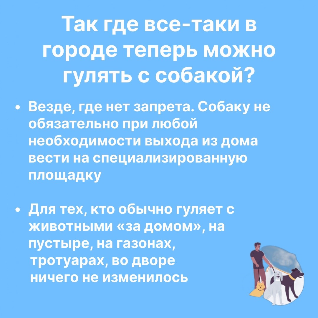 Красноярцам объяснили новые правила выгула собак / Новости общества  Красноярска и Красноярского края / Newslab.Ru