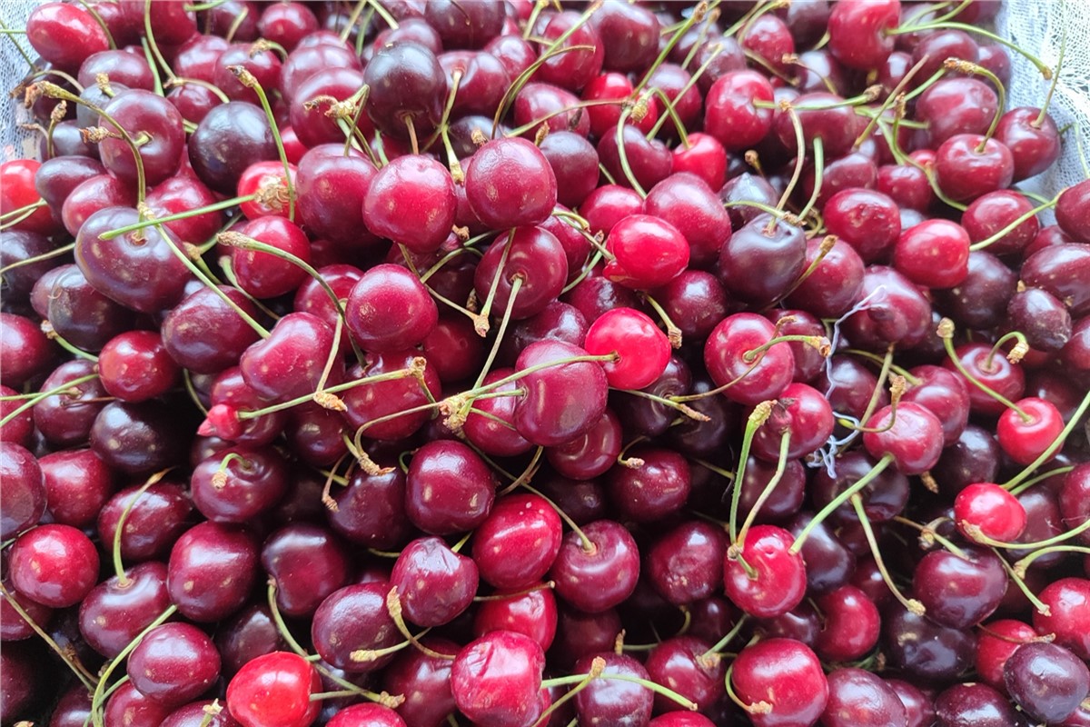 Ввоз фруктов из Китая в Красноярский край вырос почти в два раза ...