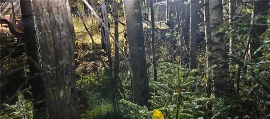 Проститутки Красноярск Вк Проститутки Красноярск Вк